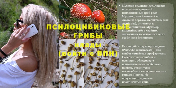 героин Заводоуковск