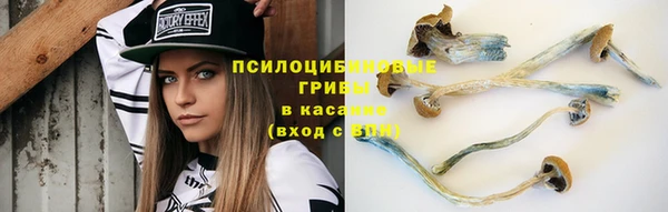 героин Заводоуковск