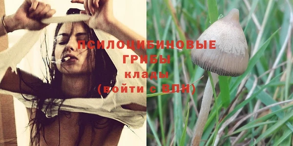 героин Заводоуковск