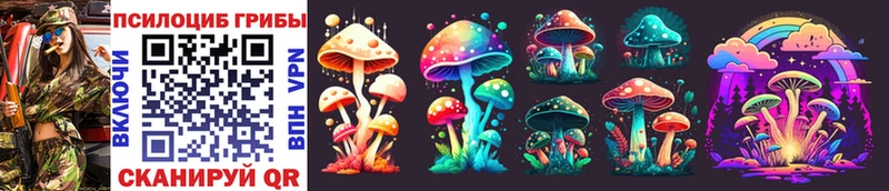Галлюциногенные грибы Magic Shrooms Кяхта
