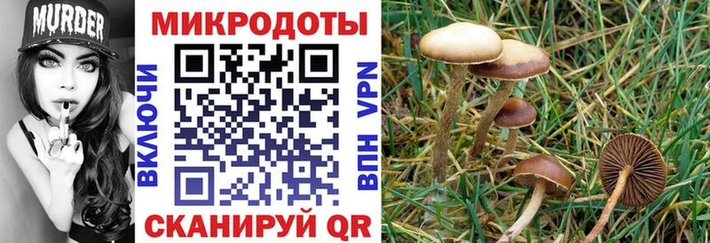 Купить  Кяхта  Псилоцибиновые грибы MAGIC MUSHROOMS 