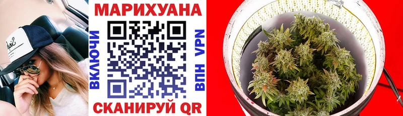 Купить где  Кяхта  Шишки марихуана THC 21% 